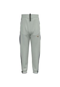 Spodnie dresowe Mizuno Athletics. Kolor: szary. Materiał: dresówka. Sport: fitness #1