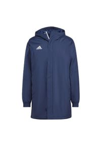 Adidas - Entrada 22 Stadium Jacket. Kolor: niebieski. Materiał: materiał. Długość: długie