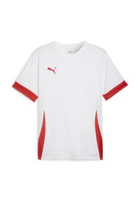 Koszulka Puma TeamGoal. Kolor: czerwony, biały, wielokolorowy. Sport: piłka nożna