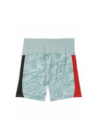Puma - Męskie szorty bramkarskie AC Milan 25/26 PUMA Modern Mint For All Time Red Green. Kolor: czerwony, wielokolorowy, zielony. Materiał: tkanina