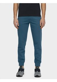 4f - Spodnie dresowe męskie. Kolor: niebieski. Materiał: dresówka #1