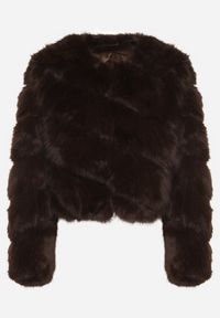 Born2be - Brązowa Krótka Kurtka z Futerkiem na Haftki Loreinda. Okazja: na co dzień. Kolor: brązowy. Materiał: futro. Długość: krótkie. Styl: casual, elegancki #4