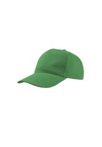ATLANTIS - Rozpocznij 5 Panel Cap. Kolor: zielony