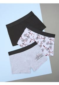 Sinsay - Bokserki Classic 3 pack - wielobarwny