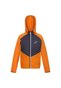 Regatta - Kurtka Dziecięca/dziecięca Kielder Hybrid VII Padded Jacket. Kolor: pomarańczowy, wielokolorowy, szary