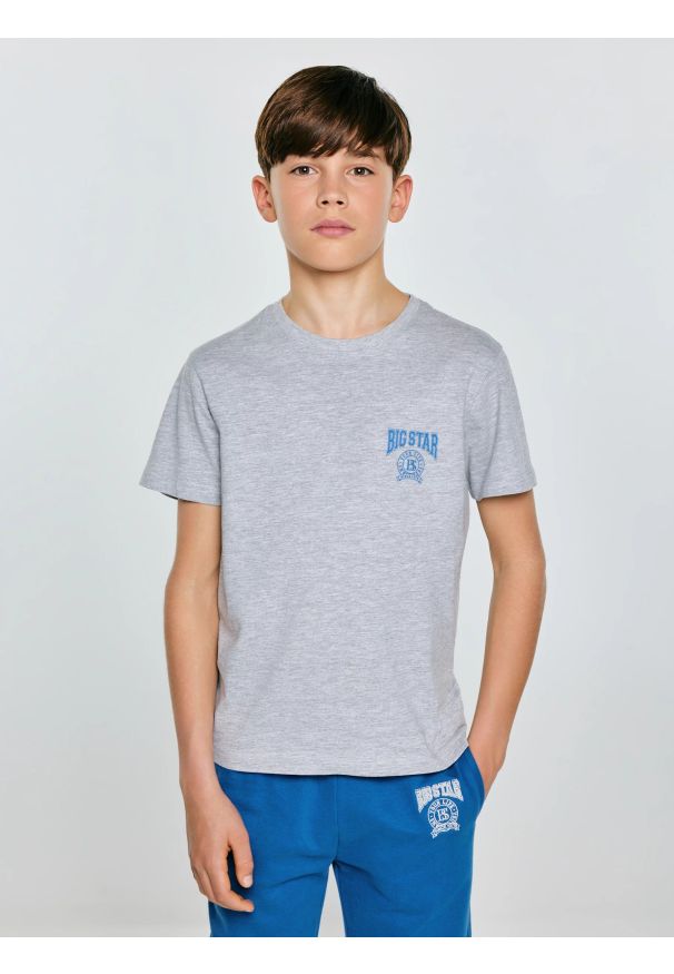 Big-Star - Koszulka chłopięca z nadrukiem szara Rafer 902. Kolor: szary. Materiał: dzianina, materiał, dresówka, skóra, jeans. Wzór: nadruk. Styl: sportowy, klasyczny, młodzieżowy