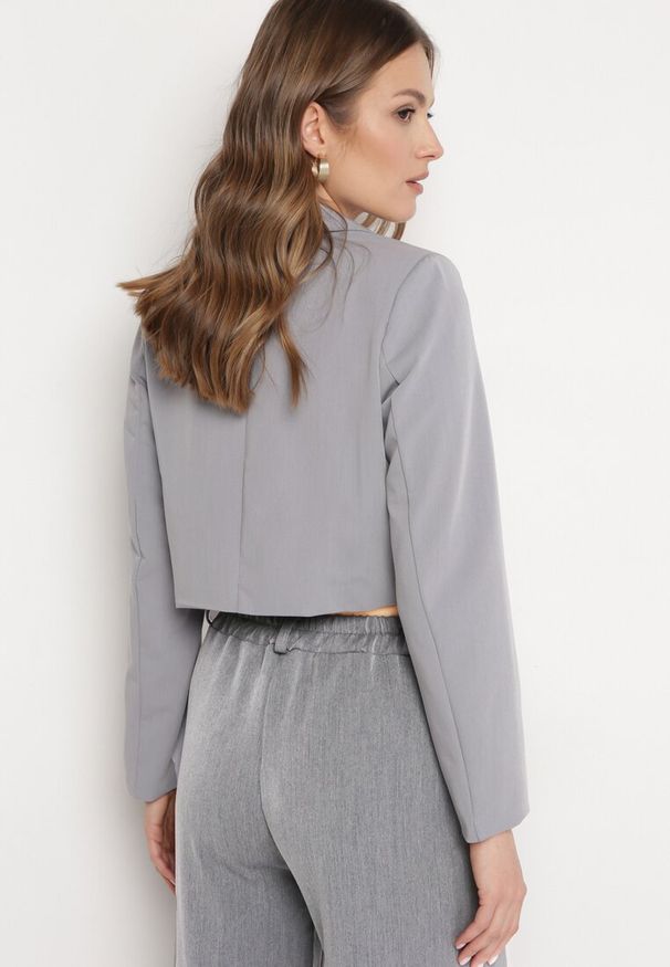 Born2be - Szara Jednorzędowa Marynarka o Krótkim Fasonie z Napami Satheryn. Okazja: na co dzień, na spotkanie biznesowe. Kolor: szary. Materiał: wiskoza, jeans. Długość: krótkie. Styl: casual, biznesowy, klasyczny