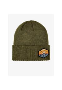 Scott - Czapka zimowa damska SCOTT SCO MTN 10 Beanie - fir green. Kolor: zielony. Sezon: zima