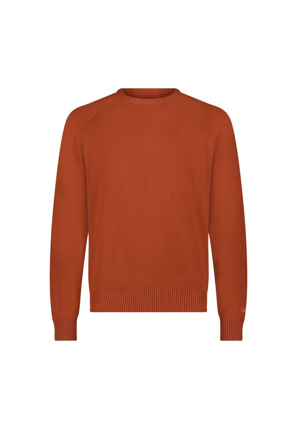 Lee - LEE MĘSKI SWETER CLEAN RAGLAN SWEATER SWEET MAPLE 112355672 LD46014970. Długość rękawa: raglanowy rękaw