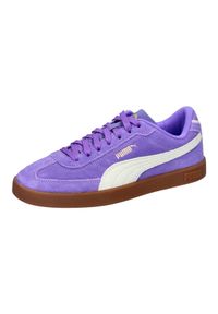 Buty do chodzenia damskie Puma Club Ii Era. Kolor: fioletowy. Materiał: skóra. Szerokość cholewki: normalna. Sport: turystyka piesza