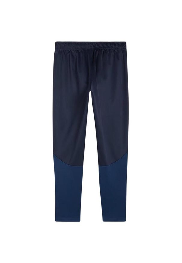 Puma - Męskie Treningowe Spodnie Do Biegania Team Goal. Kolor: niebieski. Materiał: dresówka