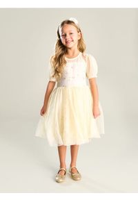 Sinsay - Tiulowa sukienka babydoll z haftowanym wzorem - beżowy. Kolor: beżowy. Materiał: tiul. Wzór: haft #1