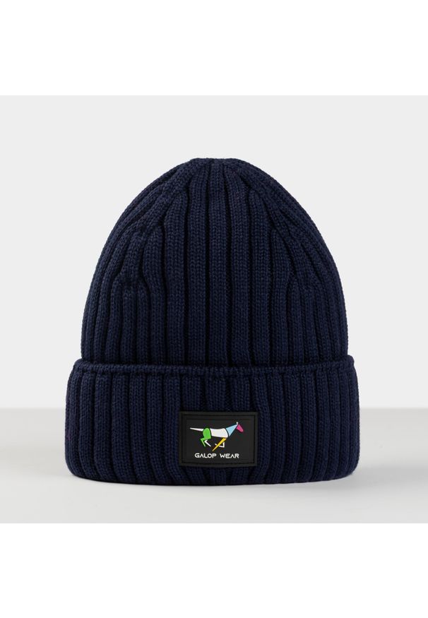 Zimowa czapka jeździecka GALOP WEAR 100% wełna merino. Kolor: niebieski. Materiał: wełna. Sezon: zima. Styl: klasyczny, casual, sportowy
