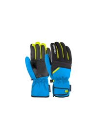 Rękawice narciarskie męskie Reusch Bradley. Kolor: niebieski, wielokolorowy, czarny. Sezon: zima. Sport: narciarstwo #1