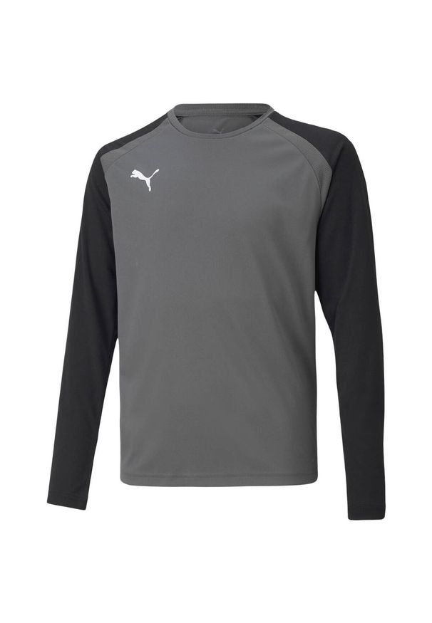 Puma - Koszulka Bramkarska TeamPACER Dla Dzieci/dzieci. Kolor: szary. Sport: turystyka piesza
