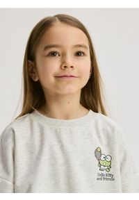 Reserved - Bluza Hello Kitty and Friends - jasnoszary. Kolor: szary. Materiał: bawełna. Wzór: motyw z bajki #1