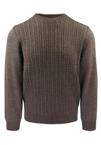 Sweter dla Mężczyzny - Lasota - Brązowy z Okrągłym Dekoltem. Kolor: brązowy, wielokolorowy, beżowy. Materiał: wełna, akryl. Sezon: zima, jesień