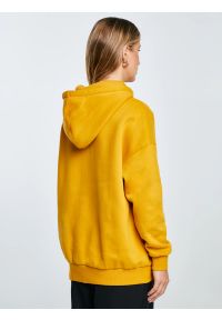 Big-Star - Bluza damska z kapturem z logo BIG STAR żółta Rubialsa 203. Okazja: na uczelnię, na spacer. Typ kołnierza: kaptur. Kolor: złoty. Materiał: dzianina, jeans. Wzór: aplikacja. Styl: klasyczny, elegancki #5