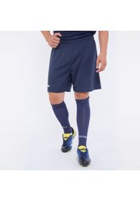 LEGEA - Spodenki piłkarskie TAIPEI niebieskie. Kolor: niebieski. Materiał: poliester. Długość: krótkie. Sezon: lato. Sport: piłka nożna #1