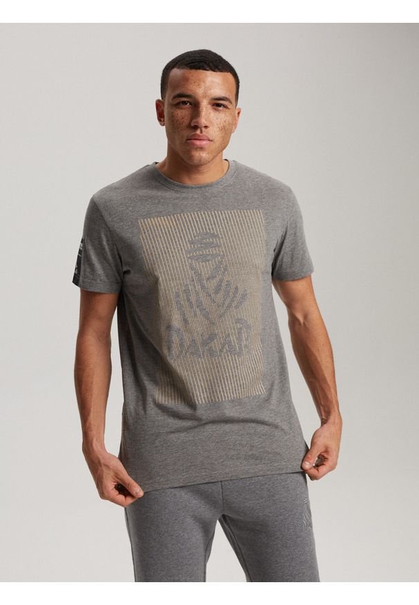 Diverse - T-shirt męski z nadrukiem DKR D 0823 S1824 - szary - Rozmiar: XXL. Kolor: szary. Materiał: wiskoza, bawełna. Wzór: nadruk