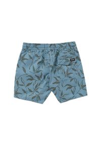 Spodenki kąpielowe męskie Volcom Lido Print. Kolor: niebieski. Materiał: poliester. Wzór: nadruk