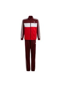 Adidas - Dres Tiberio Rozmiar 13-14 A Czerwony - HE9317. Kolor: czerwony, wielokolorowy, biały. Materiał: dresówka