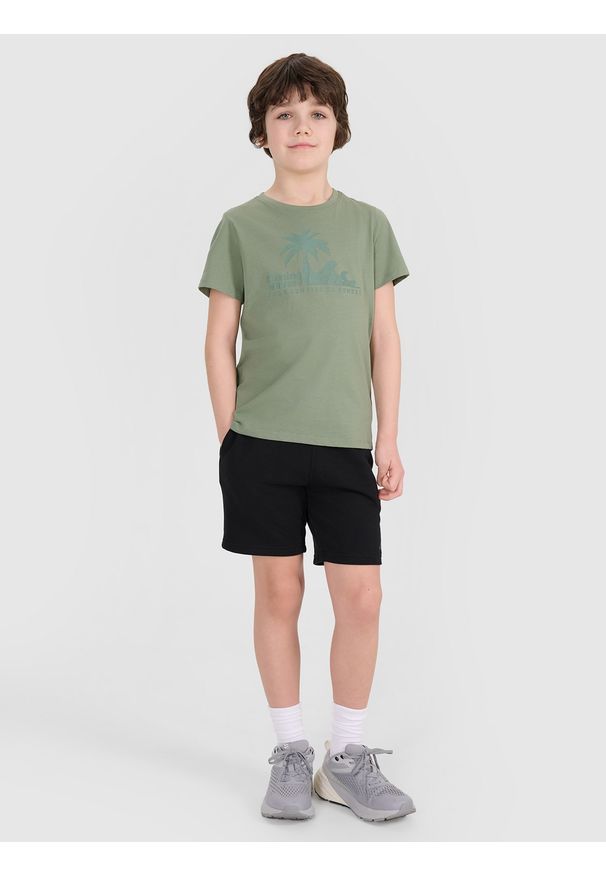 4f - 4F T-shirt regular z nadrukiem chłopięcy - turkusowy 164 (13-14 lat). Okazja: na co dzień. Kolor: turkusowy. Materiał: dzianina, bawełna, jersey. Długość rękawa: krótki rękaw. Długość: krótkie. Wzór: nadruk. Sezon: lato. Styl: klasyczny, sportowy, casual
