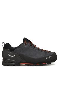 Salewa Trekkingi Mountain Trainer GTX 00-0000061428 Szary. Kolor: szary. Materiał: skóra. Sport: turystyka piesza
