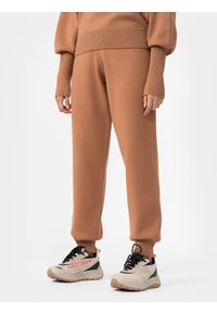 4f - Spodnie dzianinowe joggery damskie. Kolor: brązowy. Materiał: dzianina