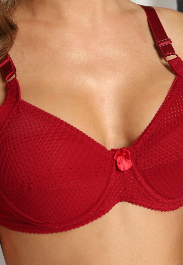 Renee - Bordowy Biustonosz z Ażurowym Wzorem na Ramiączkach z Regulacją i Haftkami Dimirria. Kolor: czerwony. Wzór: ażurowy
