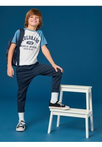 Sinsay - Koszulka - biały. Kolor: biały. Materiał: bawełna. Długość rękawa: krótki rękaw. Długość: krótkie. Wzór: nadruk #1