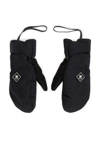 DC Shoes Rękawice narciarskie Franchise ADYHN03029 Czarny. Kolor: czarny. Materiał: poliester. Sport: narciarstwo #4