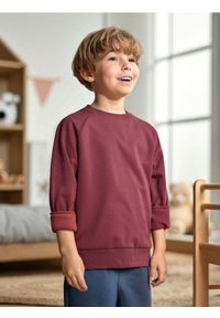 Sinsay - Bluza - bordowy. Kolor: czerwony #1