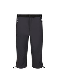 Regatta - Męskie Spodenki Xert Stretch III Stretch Active Capri Shorts. Kolor: szary