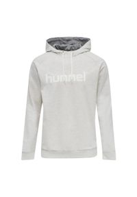 Hoodie Hummel Hmlgo Logo. Typ kołnierza: kaptur. Kolor: wielokolorowy, szary, beżowy, biały. Materiał: polar