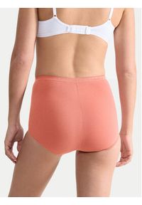 Sloggi Komplet fig Basic 10103326 Kolorowy. Materiał: bawełna. Wzór: kolorowy #3