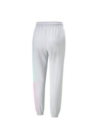 Puma Spodnie Intl 53165909. Kolor: szary