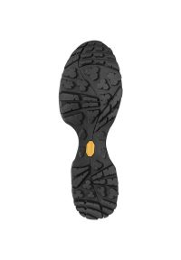 Buty trekkingowe męskie TREZETA Argo z membraną WP. Kolor: zielony