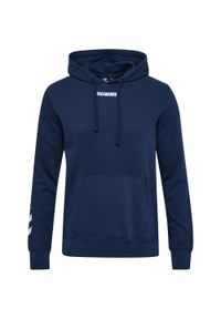 Bluza z kapturem Hummel Elemental. Typ kołnierza: kaptur. Kolor: wielokolorowy, niebieski, zielony. Sport: piłka ręczna #1