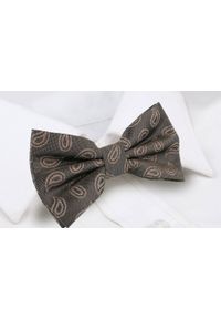 Mucha Męska w Zestawie z Poszetką - Alties - Popiel i Brąz, Paisley. Kolor: beżowy, wielokolorowy, brązowy. Wzór: paisley. Styl: elegancki, sportowy #5