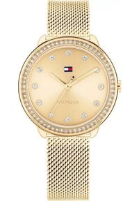 ZEGAREK DAMSKI TOMMY HILFIGER 1782699 Demi (zf509a) + BOX #1