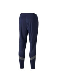 Puma - Męskie Treningowe Spodnie Do Biegania TeamFINAL. Kolor: niebieski. Materiał: dresówka