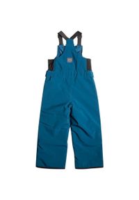 Spodnie narciarskie dla dzieci Quiksilver Boogie. Kolor: niebieski. Materiał: poliester. Sezon: zima. Sport: narciarstwo #2