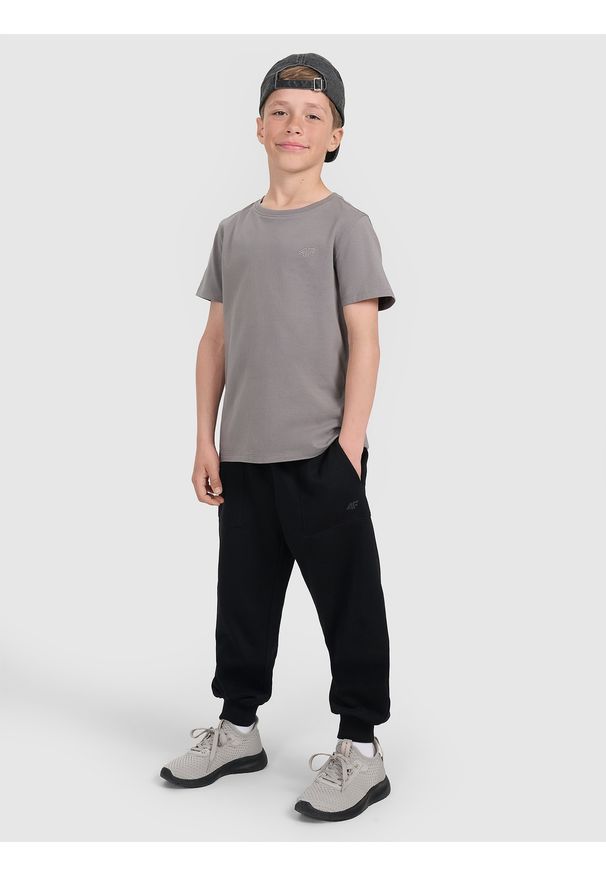 4f - 4F T-shirt regular gładki chłopięcy - szary 152 (11-12 lat). Okazja: na co dzień. Kolor: szary. Materiał: bawełna, materiał, jersey. Długość rękawa: krótki rękaw. Długość: krótkie. Wzór: gładki. Sezon: lato. Styl: młodzieżowy, klasyczny, casual, sportowy