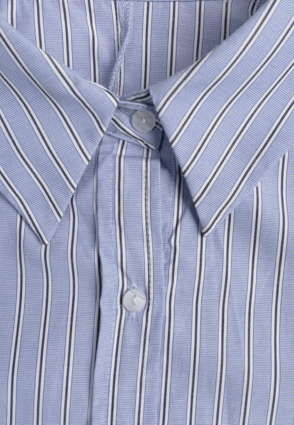 Born2be - Niebieska Koszula z Bawełną w Paseczki z Rozkloszowanym Dołem Meridianes. Okazja: na co dzień, na spotkanie biznesowe. Kolor: niebieski. Materiał: bawełna. Styl: casual, biznesowy, elegancki, klasyczny