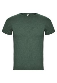 ROLY - Męska Koszulka Z Krótkim Rękawem Fox Heather. Kolor: zielony. Długość rękawa: krótki rękaw. Długość: krótkie. Sport: turystyka piesza #1