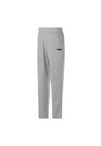 Puma Spodnie Ess 84719202. Kolor: szary