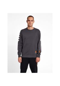Bluza Hummel hmlLGC Birk. Kolor: szary