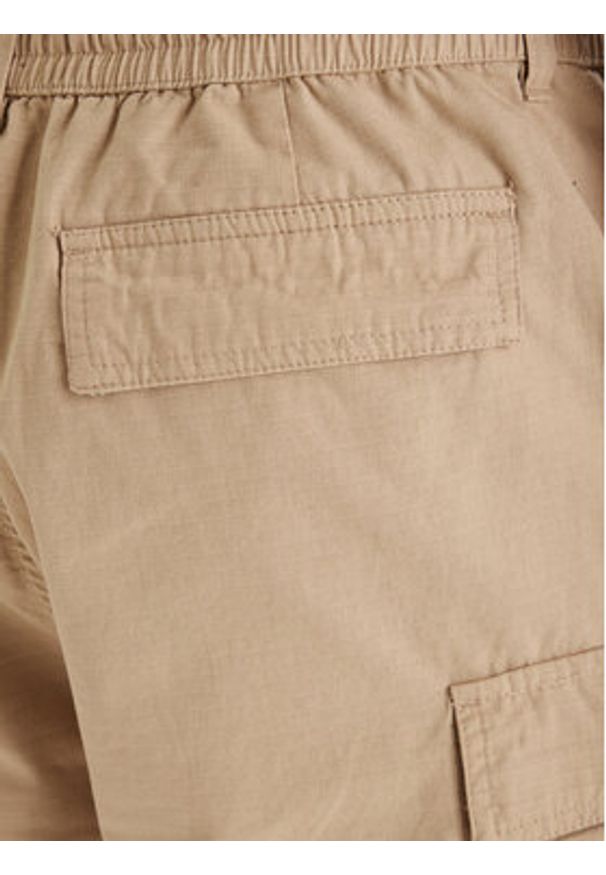 DC Shoes Szorty materiałowe Tundra ADYWS03086 Beżowy Regular Fit. Kolor: beżowy. Materiał: bawełna