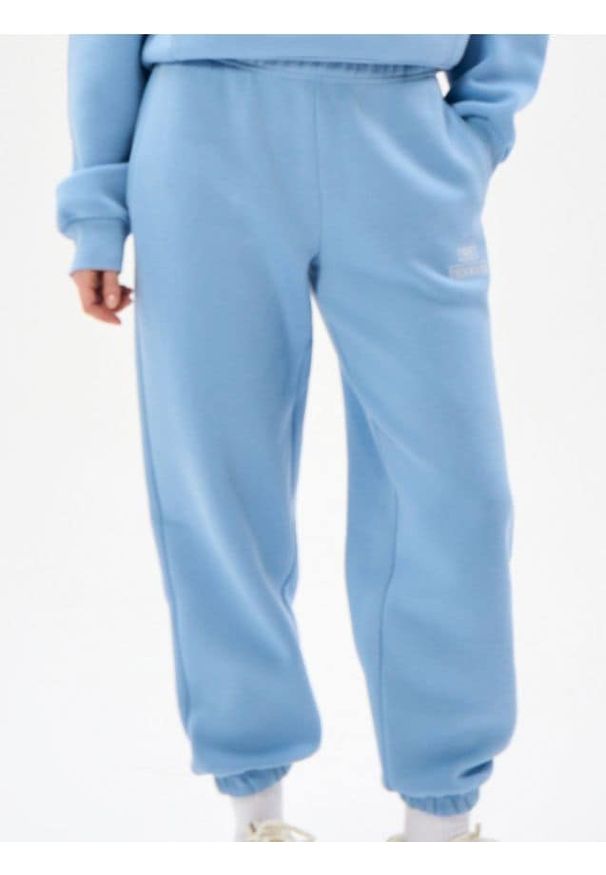 Sinsay - Spodnie dresowe jogger - niebieski. Kolor: niebieski. Materiał: dresówka